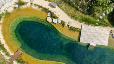Swimming Pond