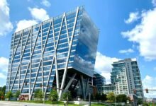 global market growth trends