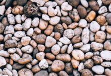 chololithiasis beginner guide overview